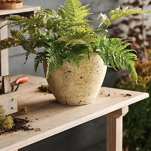 Barnacle Round Shoulder Planter, 9"