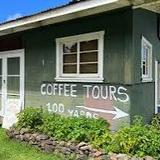 Greenwell Farms Coffee Tour