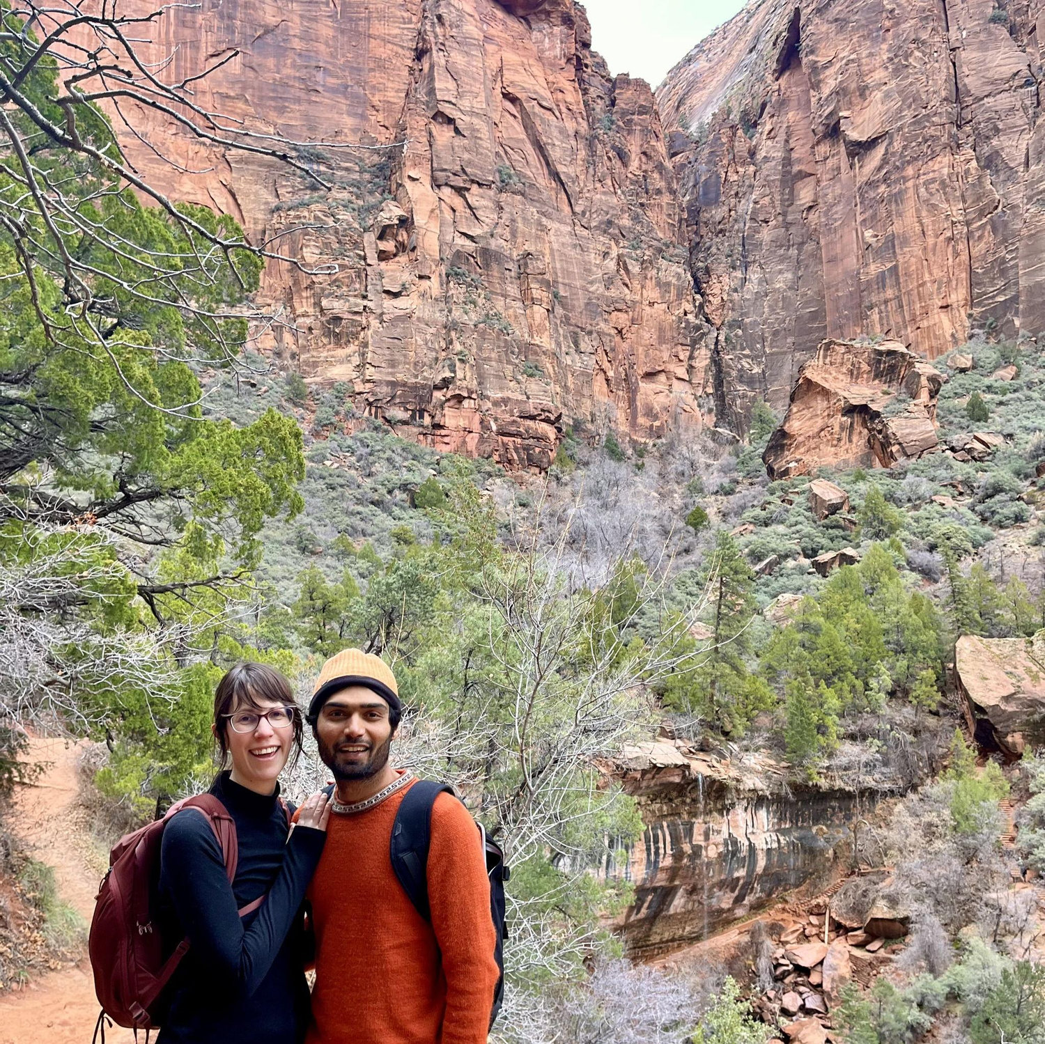 Engaged in Zion National Park