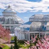 New York Botanical Garden