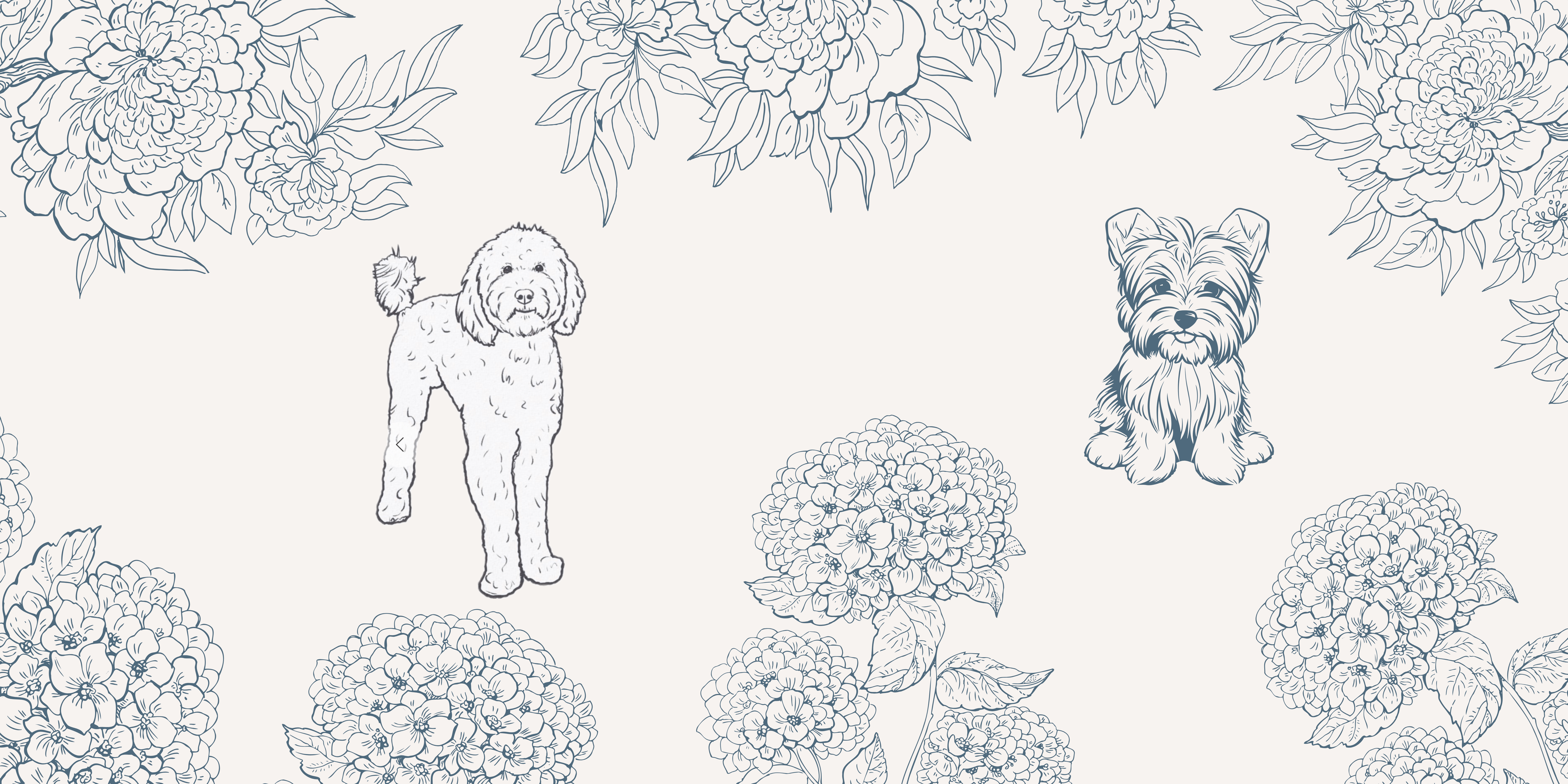 The Wedding Website of Petra Macias Medrano and Geovanni Hernandez Torres