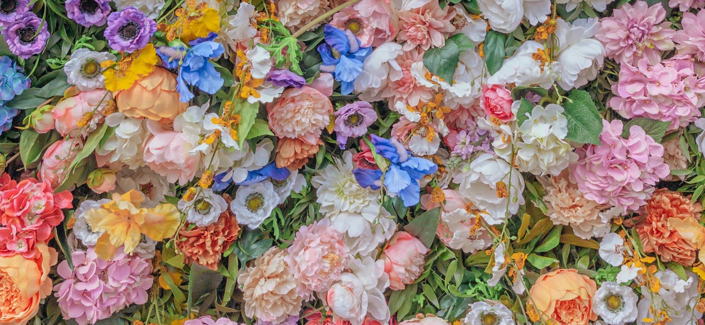 The Wedding Website of Emma Campbell and Garrett Major