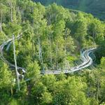 Zipline & Alpine Coaster