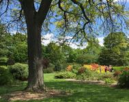 UW-Madison Arboretum