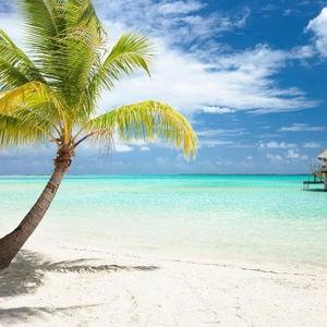 Breanna & Sam's Honeymoon Fund (Credit Card)