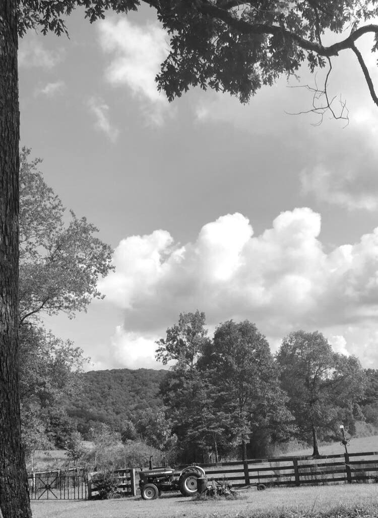 The Wedding Website of Lorrena Young and Adric Wallace