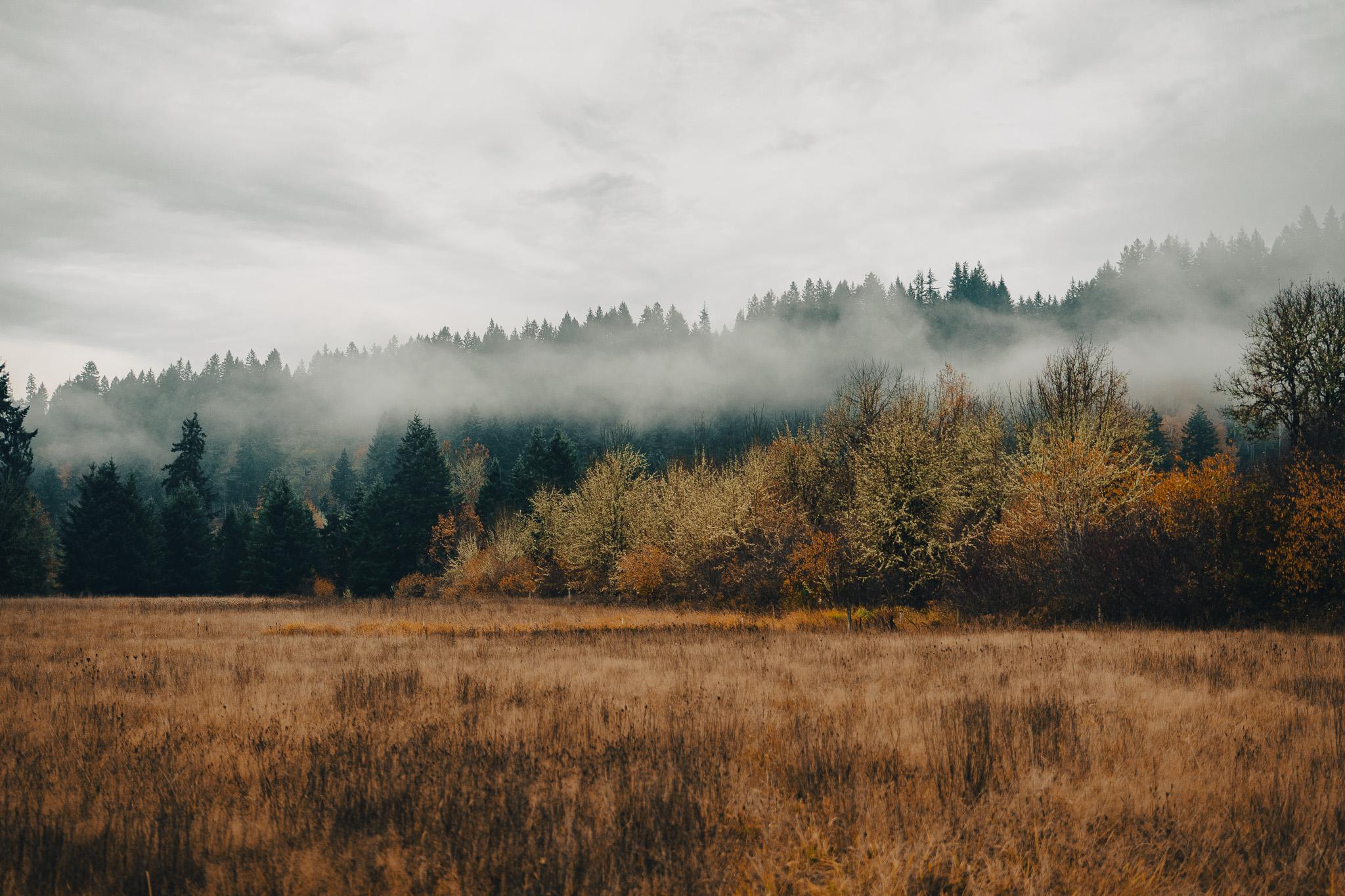 The Wedding Website of Peter Walle and Rebecca Walle