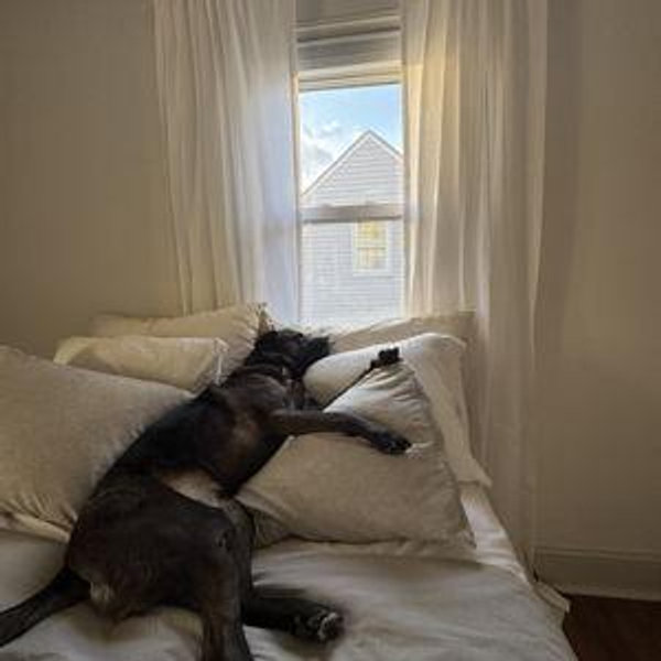 Our Home Renovation Fund