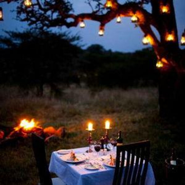 Dinner Under the Stars