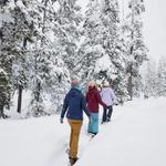 Winter Hiking + Walks