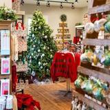 North Pole South