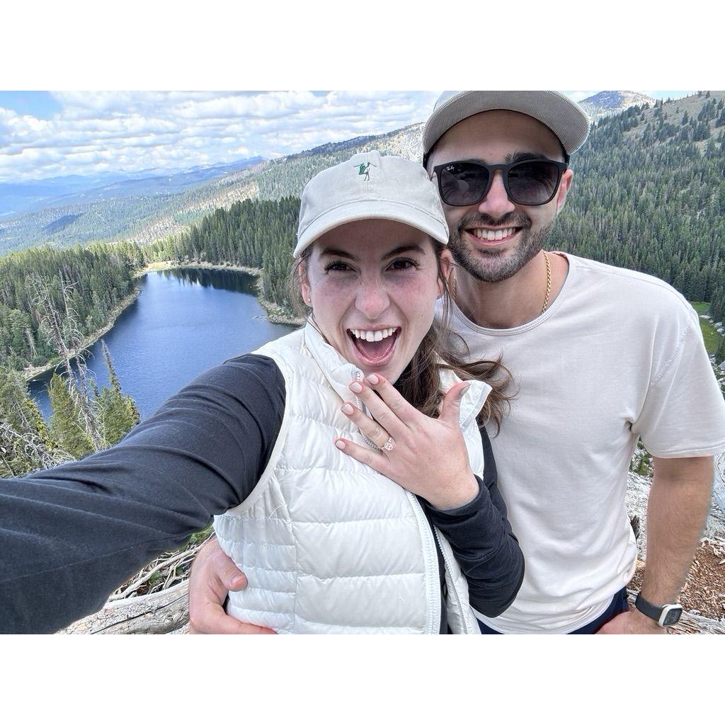 McCall Proposal, 2024