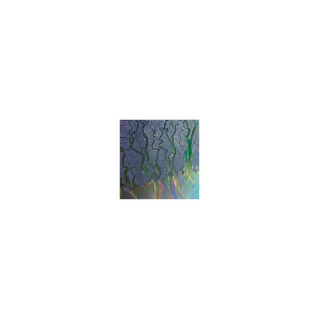 Alt-J - Awesome Wave (Vinyl)