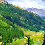 Scenic Drive: Independence Pass