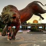 San Diego Zoo
