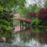 Missouri Botanical Garden