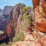 Angels Landing Trail