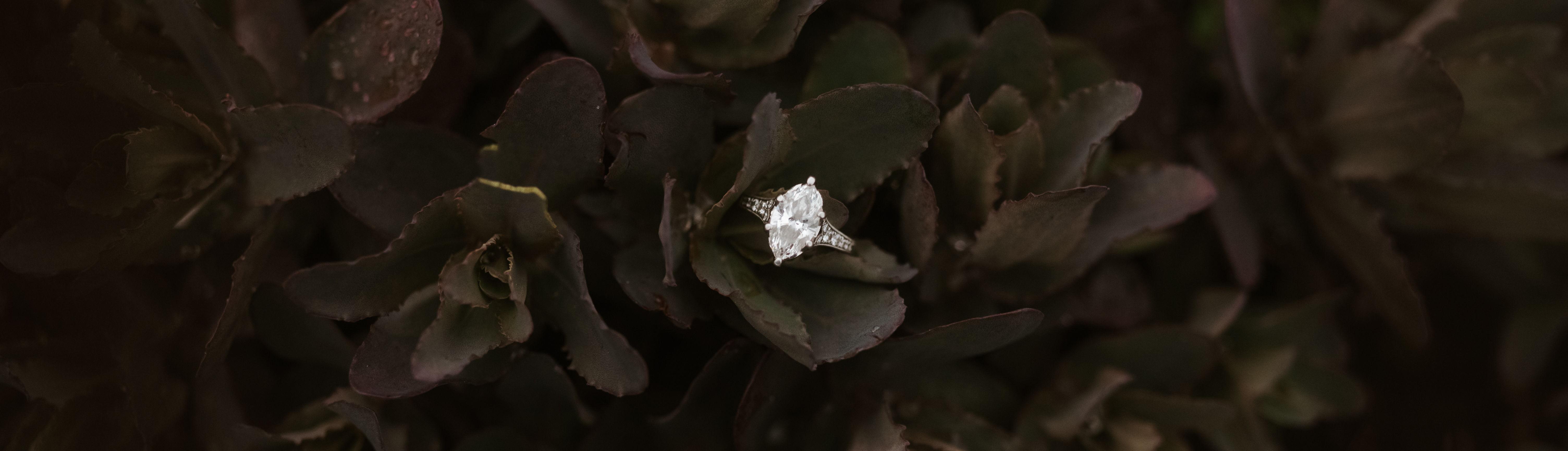 The Wedding Website of Kathryn Imes and Joshua Slish