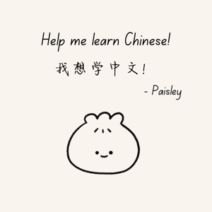 Paisley's Chinese Lessons