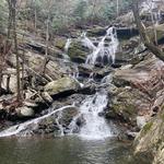 Pisgah National Forest
