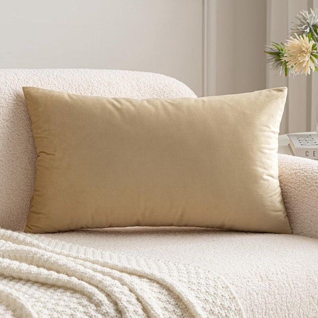 MIULEE Velvet Pillow Cover Soft Luxury Decorative Throw Pillow Cover Single Rectangle Cushion Case for Couch Sofa Bedroom Car Decor,12x20 Inch Beige