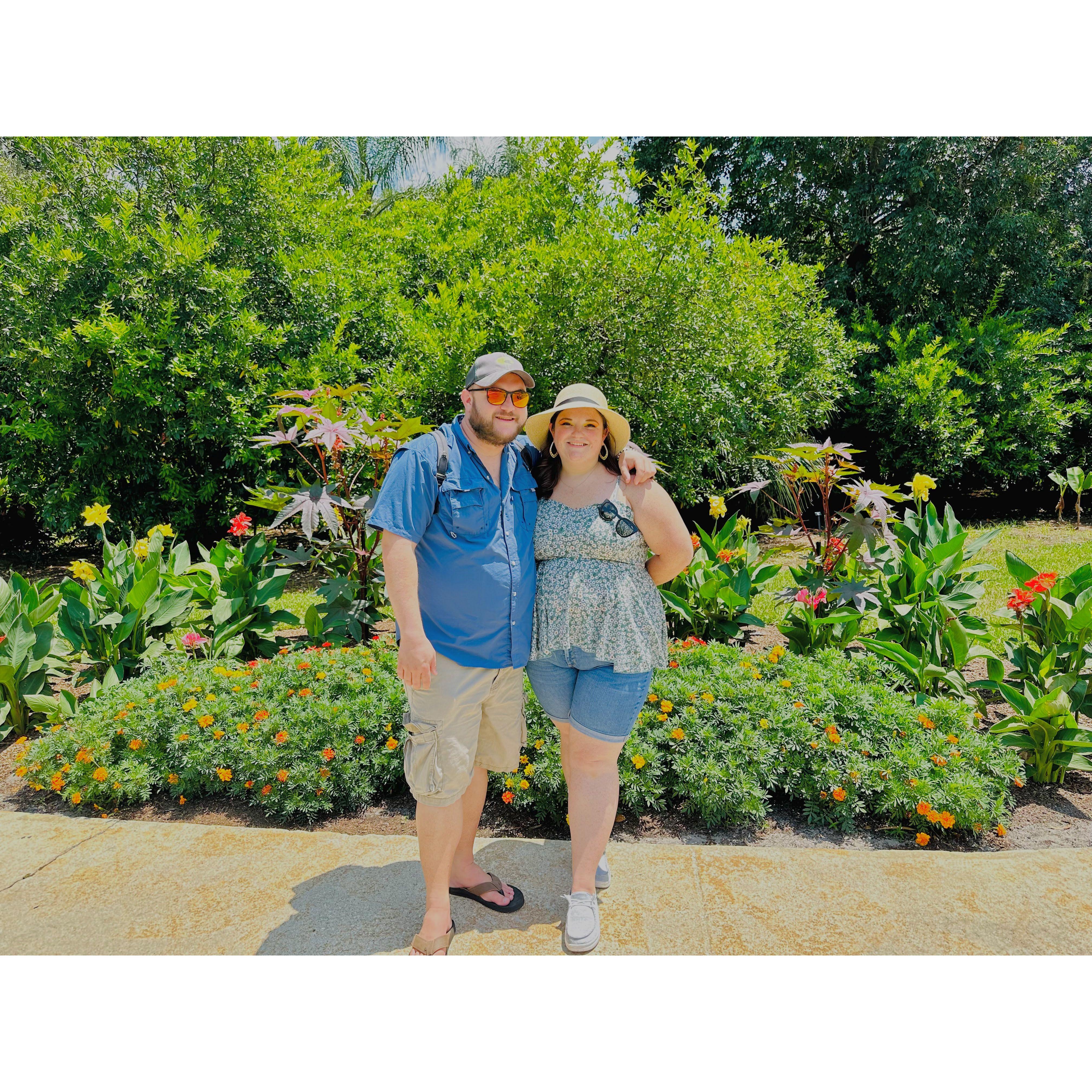 We got to see some Dinos at the Harry P. Leu Gardens