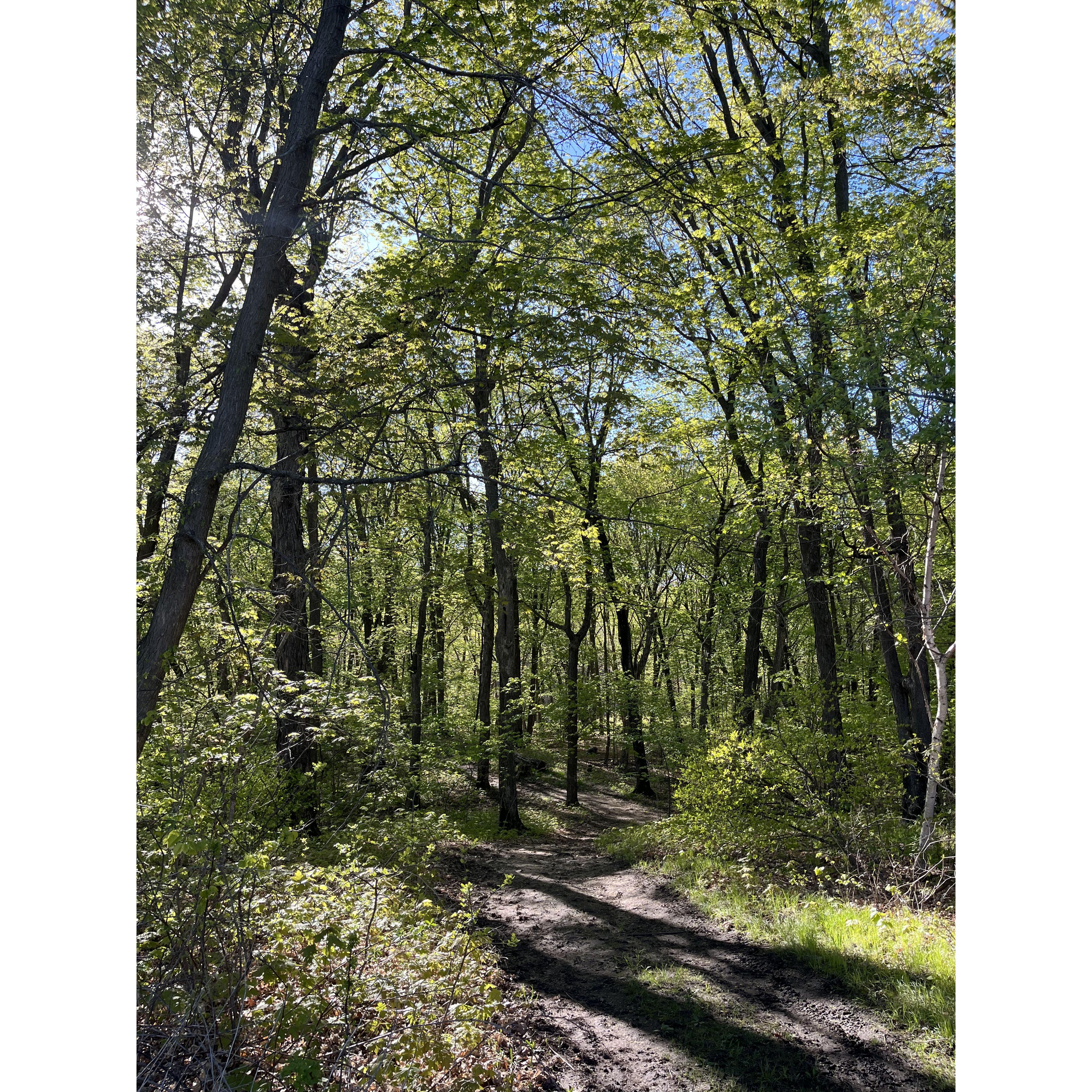 More trails.