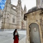 Catedral-Basílica de Santa María de Mallorca