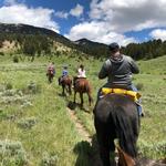 Horseback Riding