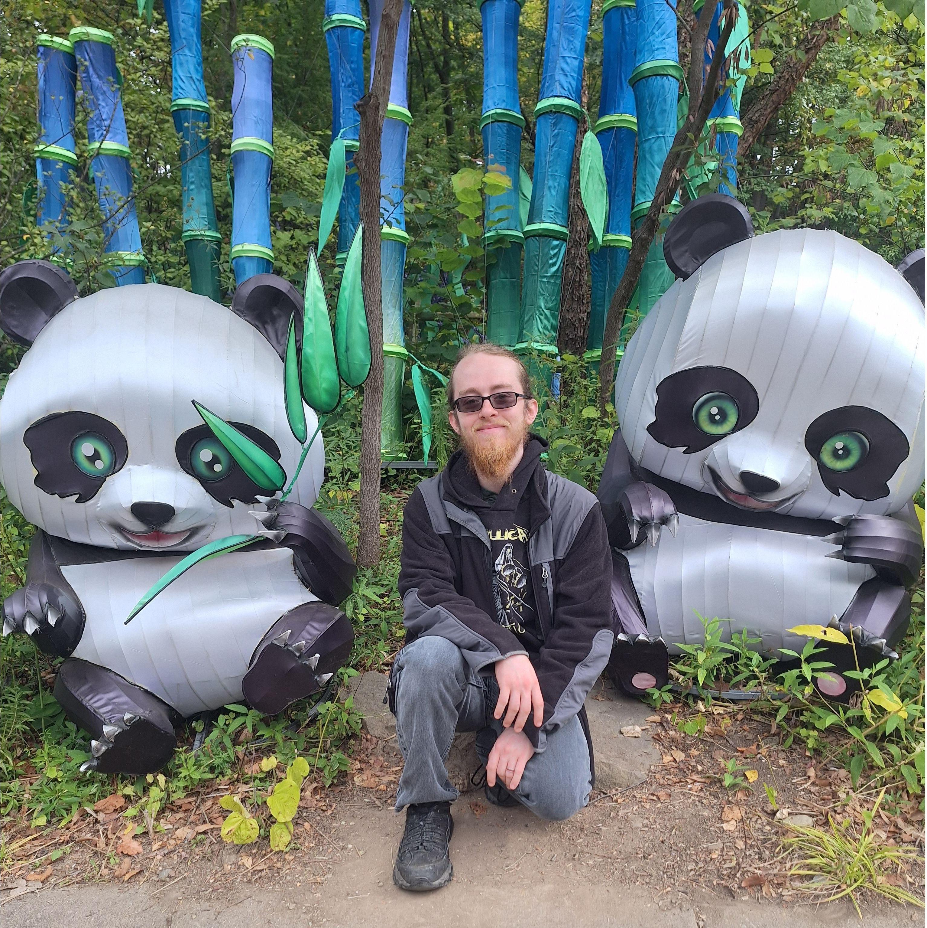 The Pittsburgh Zoo during the Asian Lantern Festival.  Jay loved the baby panda statues.