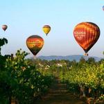 Wine Tasting