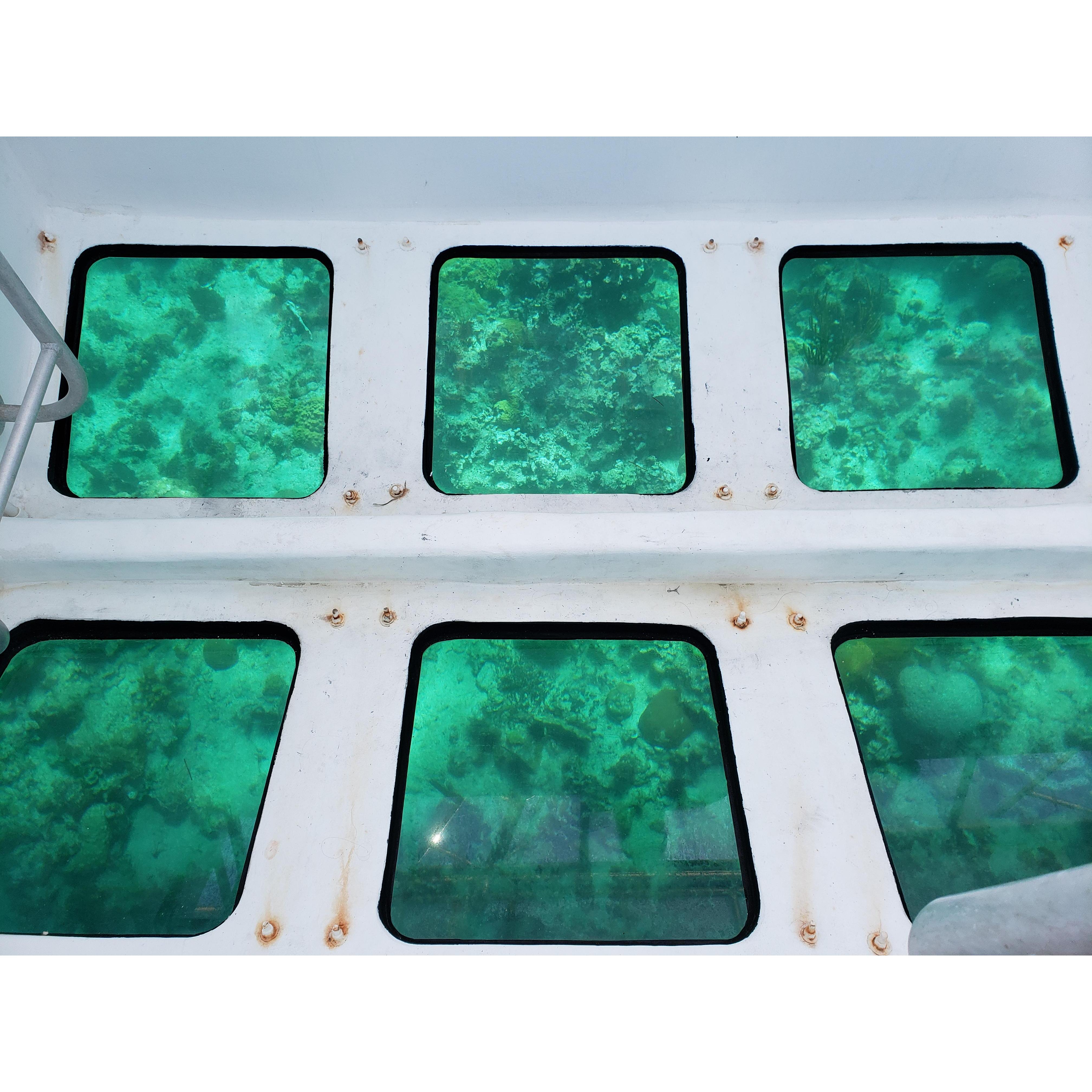 Glass bottom boat tour of the coral reefs North of the island.
