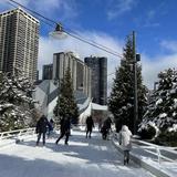 Maggie Daley Park