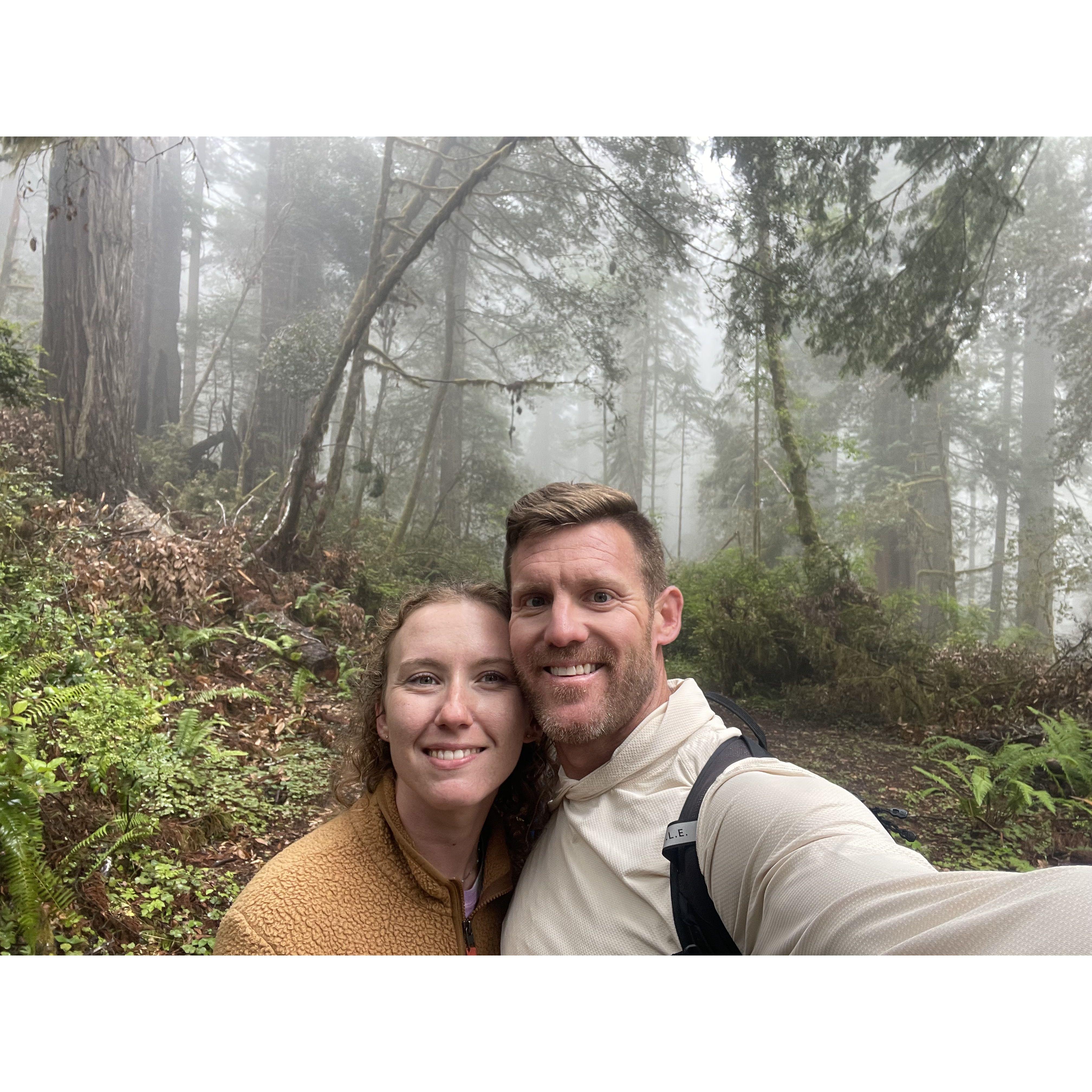 Humboldt redwoods, July 2023