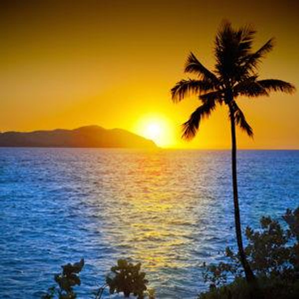 Our Fiji Honeymoon Fund