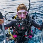 Snorkeling or Scuba Diving