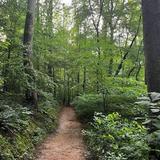 Stevens Creek Nature Preserve