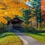 Allegany State Park