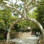 Gilroy Gardens Family Theme Park