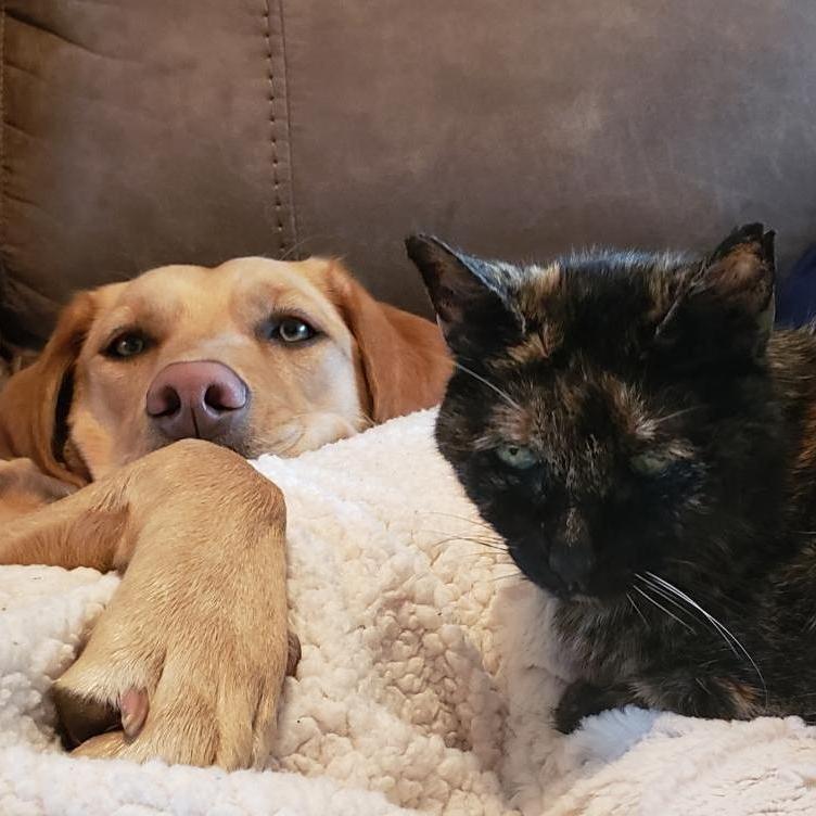 Fur babies!