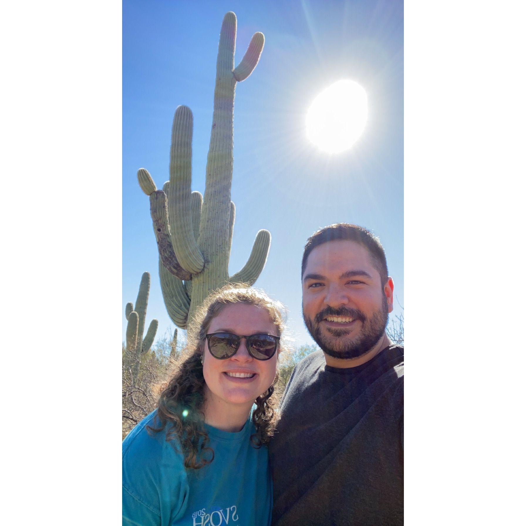 Saguaro National Park February 2022