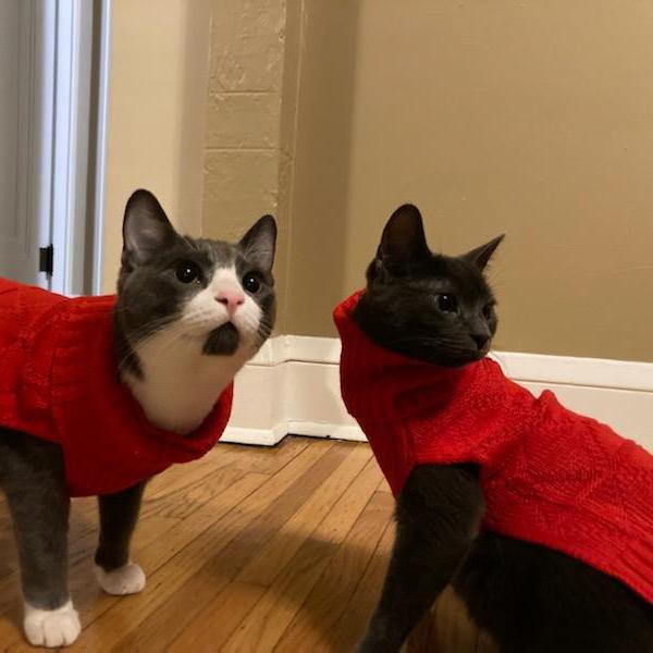 Christmas sweaters!