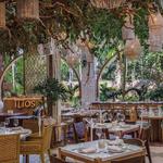 Ilios | Greek restaurant in Tulum