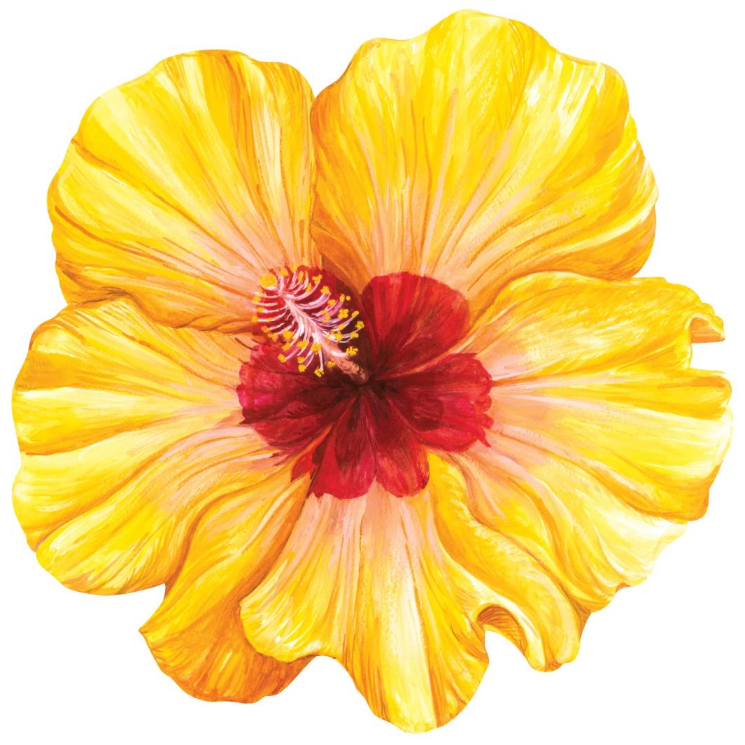 Hester & Cook - Die-cut Hibiscus Placemats