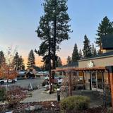 Sage Leaf Tahoe