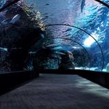 Oklahoma Aquarium