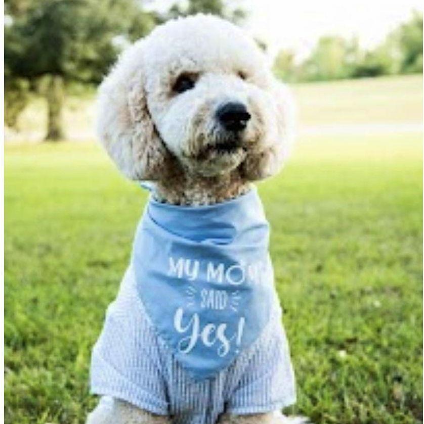 Teddy excited for Mom!