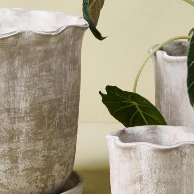Alice Scalloped Cement Planter