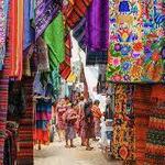 Visit the Market