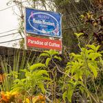 Mauka Meadows Coffee Farm